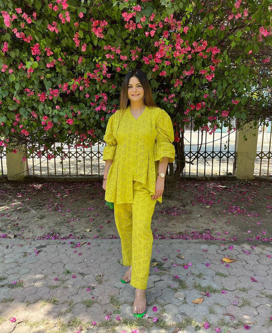 Summer-Friendly Cotton Embroidered 2-Piece Co-ord Set (Top & Pant)